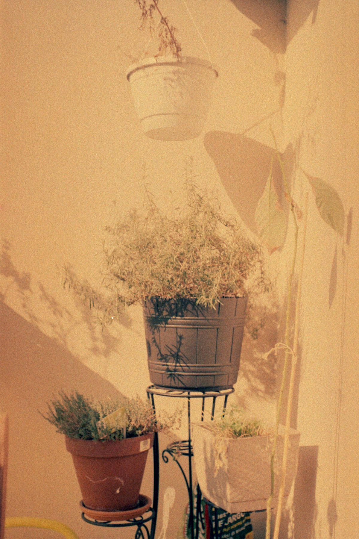 Garten & Zuhause